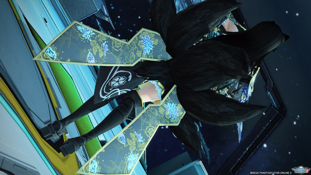 pso20200201_230438_004