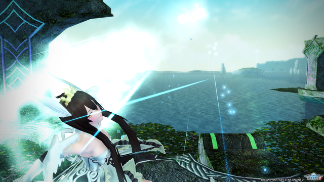 pso20170108_211139_291