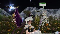 aade8850.jpg