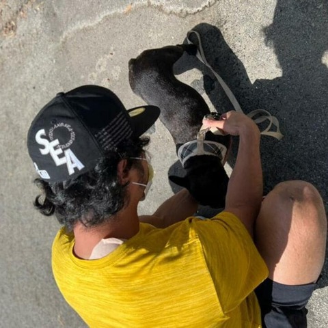 img_7f28aa594f1a1dd5bd21e3441d39ae0770914