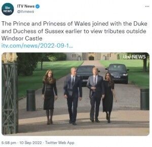 thumb-12239-1863029-entame