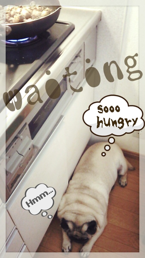 2013-07-31-19-09-05_deco