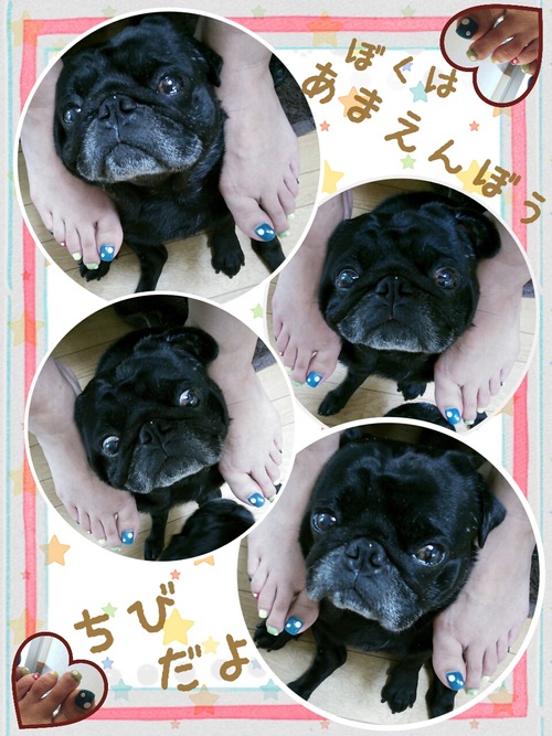 2013-07-30-09-22-21_deco