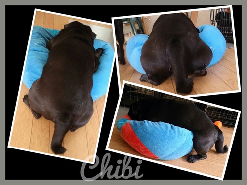 2013-08-15-01-13-20_deco