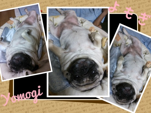 2013-08-18-17-50-43_deco