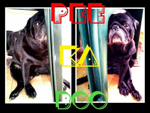 2013-08-15-01-00-20_deco