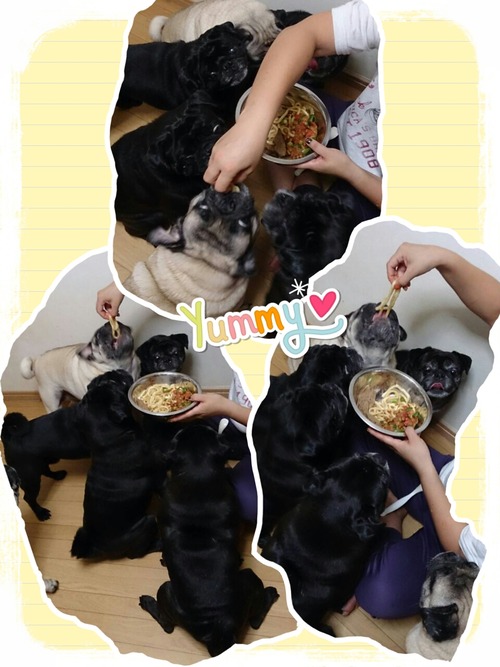 2013-08-11-22-53-17_deco