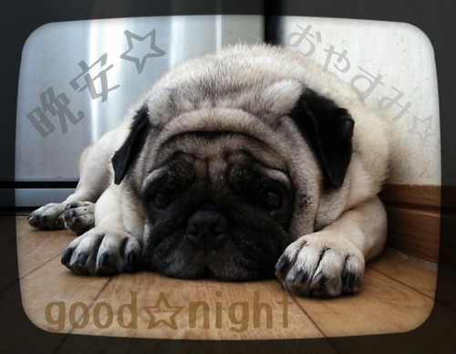 2013-08-07-23-45-47_deco