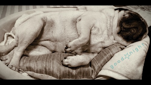 2013-07-28-21-16-24_deco