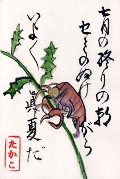 ̾��̤���� 2w