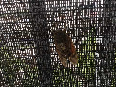 7FDD71E4-2D3A-4D6D-9839-CC3C3F638A2C