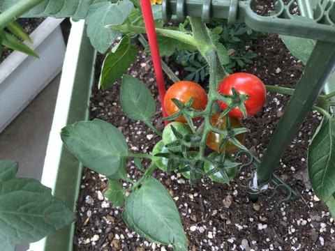 827A686D-4967-40D1-A9CA-33F30F46FE38