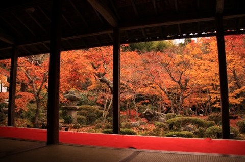 紅葉の風景