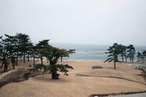 浜辺の風景