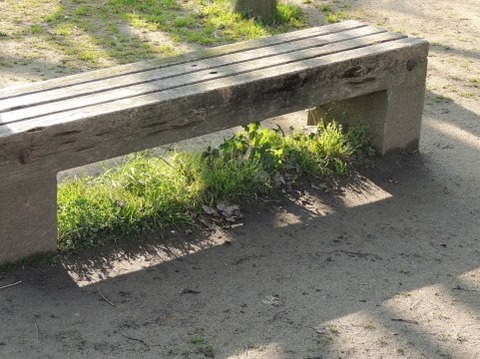 ベンチ