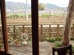 P1013142 (2048x1536)