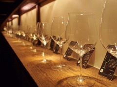 P1013134 (2048x1539)