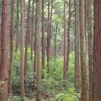 ７ (2048x2048) (320x320)