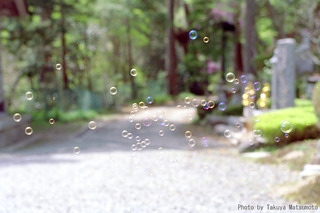 mttklife-mySelection36