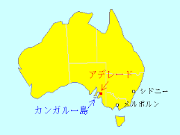 ダウンロード - 2021-08-24T065828.775