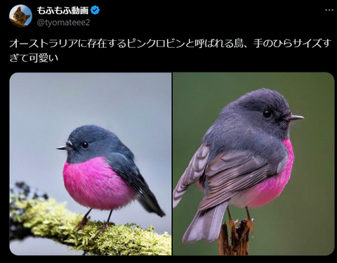 スクリーンショット (1896)