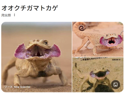 ダウンロード - 2026-04-06T215451.437