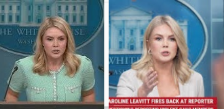 ダウンロード - 2025-07-10T211056.883