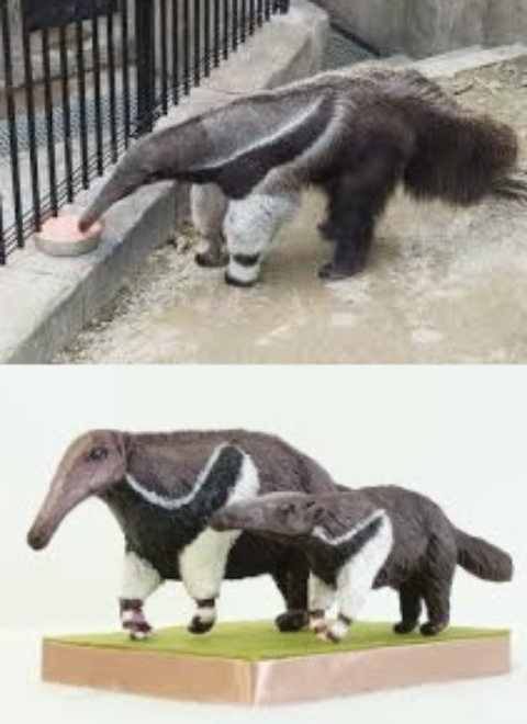 ダウンロード - 2025-12-07T045019.978