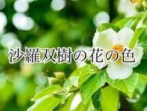 images - 2022-10-13T033208.418