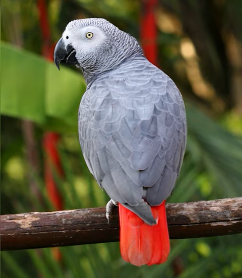 ダウンロード - 2026-02-28T210528.056