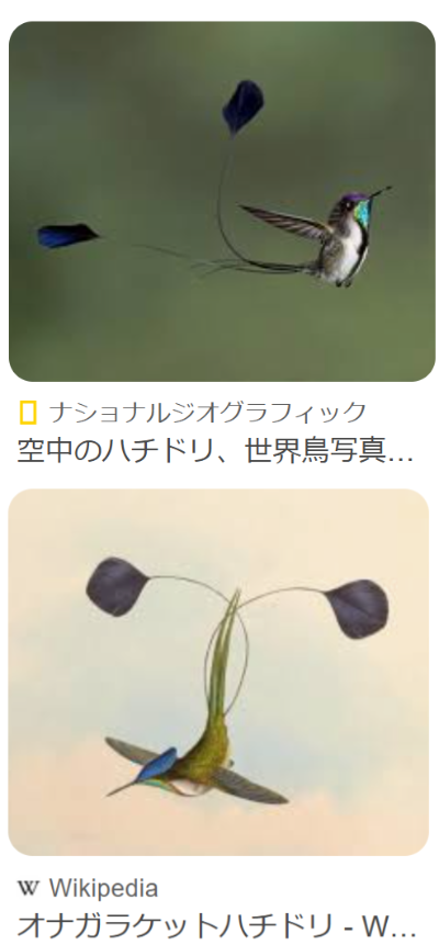 ダウンロード - 2025-03-14T205106.620