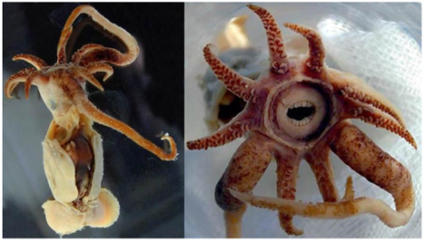 ダウンロード - 2026-04-06T220009.936