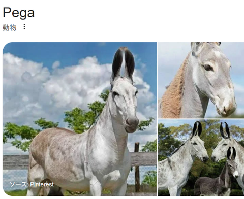 ダウンロード - 2025-10-02T222504.107