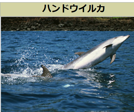 ダウンロード - 2025-04-07T060352.322