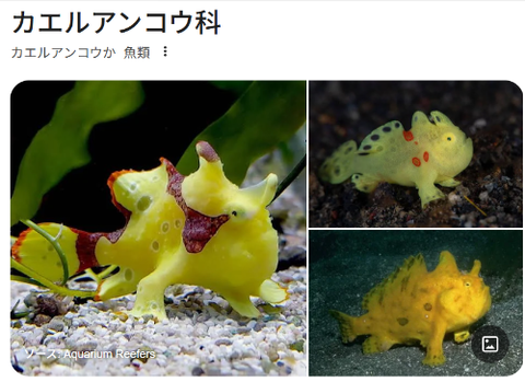 ダウンロード - 2026-03-19T210508.740