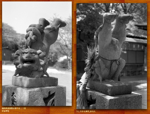 ダウンロード - 2026-01-02T215332.698