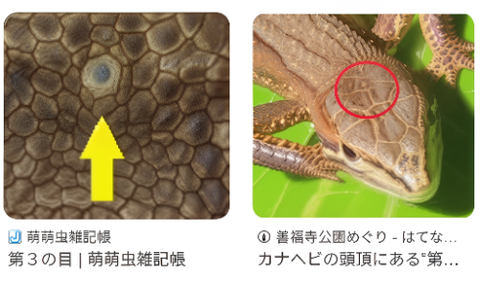 ダウンロード - 2025-10-31T222027.756