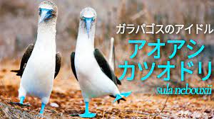 ダウンロード - 2022-11-08T012822.558