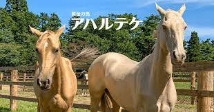 ダウンロード - 2023-03-25T020147.048