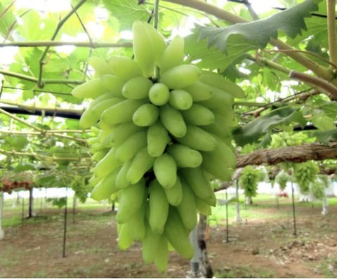 363398741_1473645453382329_8113014261608310124_n