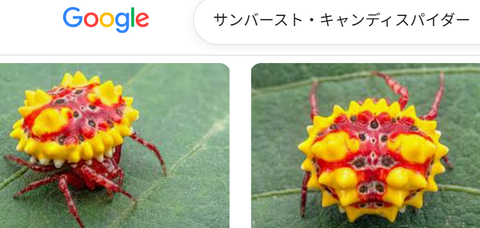 ダウンロード - 2026-06-29T024725.945