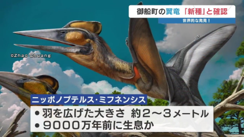 ダウンロード - 2026-02-14T204246.200