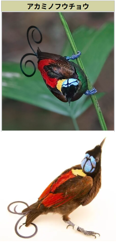 ダウンロード - 2025-12-20T023159.441