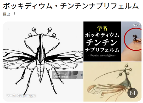 ダウンロード - 2026-04-06T215800.726