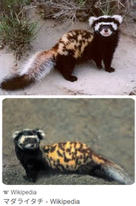 ダウンロード - 2026-01-02T000933.396