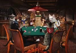 ダウンロード (97)