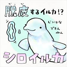 images (77)