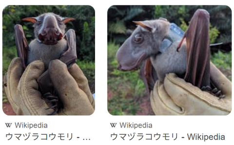 ダウンロード - 2026-02-03T054516.213