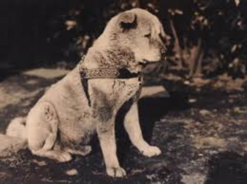 ダウンロード - 2026-01-01T184307.837