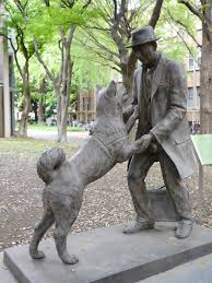 images - 2022-09-13T204409.756